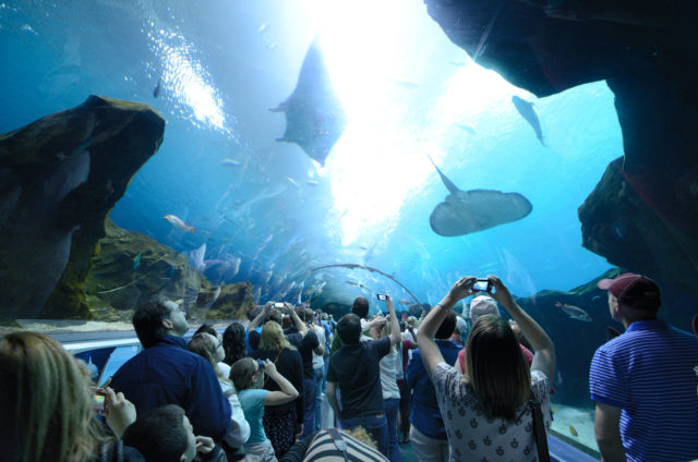 5 Local Day Trips in Los Angeles that Are Fun and Educational
